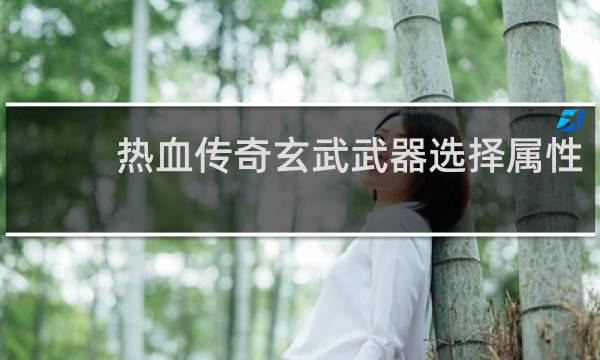 热血传奇玄武武器选择属性