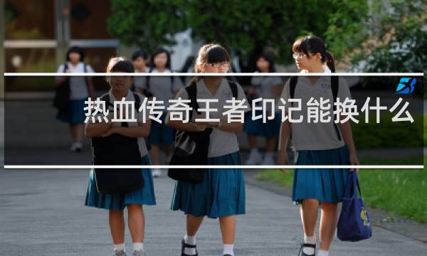 热血传奇王者印记能换什么