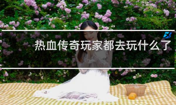 热血传奇玩家都去玩什么了