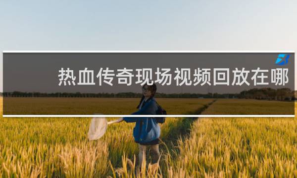 热血传奇现场视频回放在哪