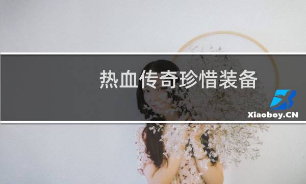 热血传奇珍惜装备