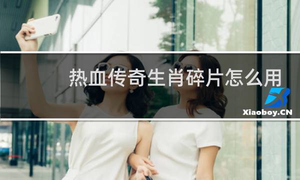 热血传奇生肖碎片怎么用