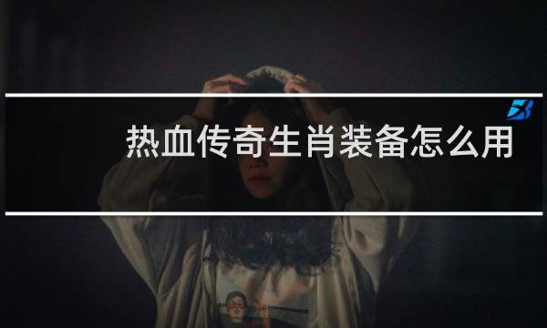热血传奇生肖装备怎么用