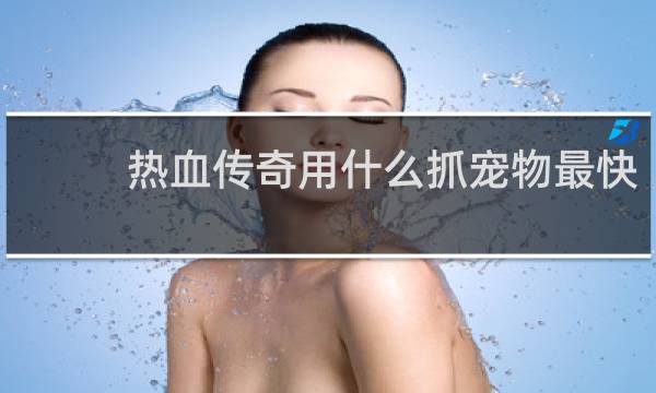 热血传奇用什么抓宠物最快
