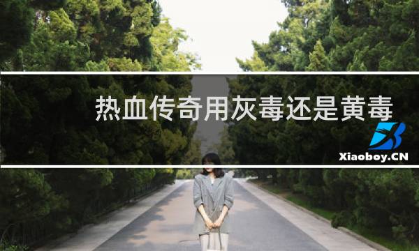 热血传奇用灰毒还是黄毒