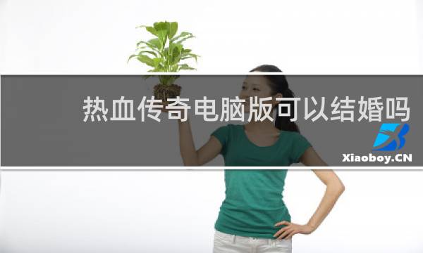 热血传奇电脑版可以结婚吗