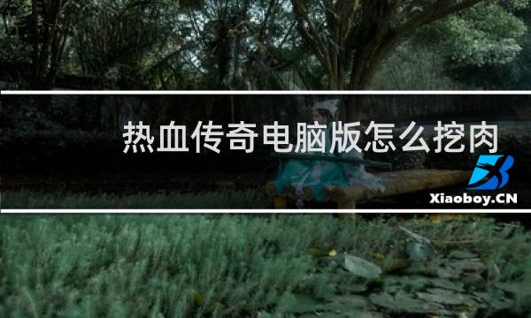 热血传奇电脑版怎么挖肉