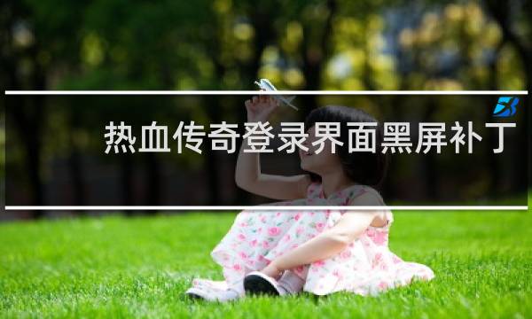 热血传奇登录界面黑屏补丁