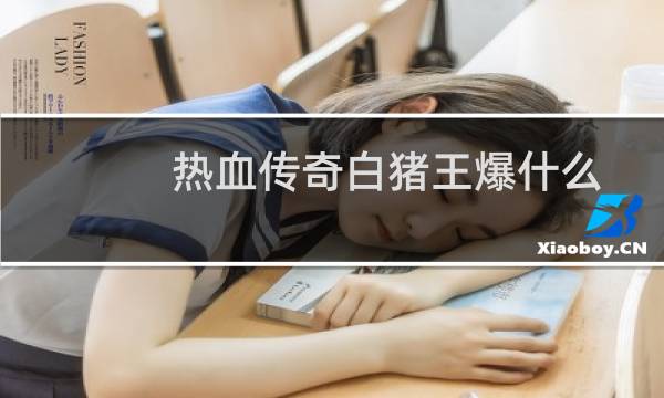 热血传奇白猪王爆什么