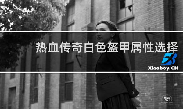 热血传奇白色盔甲属性选择