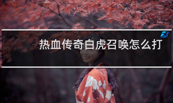 热血传奇白虎召唤怎么打