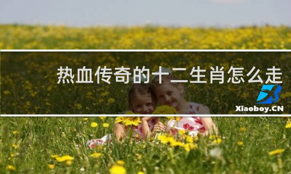 热血传奇的十二生肖怎么走