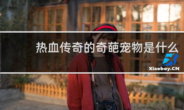 热血传奇的奇葩宠物是什么