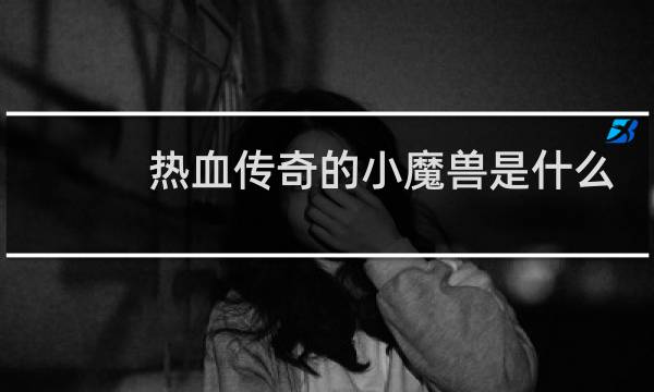 热血传奇的小魔兽是什么