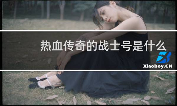 热血传奇的战士号是什么
