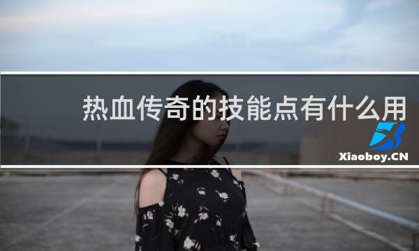 热血传奇的技能点有什么用