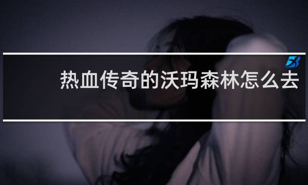 热血传奇的沃玛森林怎么去