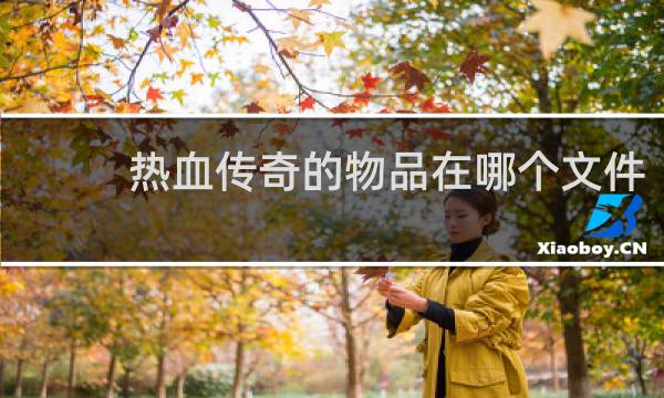 热血传奇的物品在哪个文件