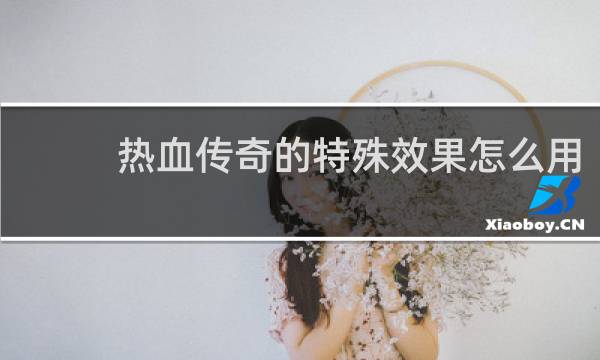 热血传奇的特殊效果怎么用