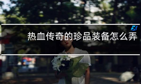 热血传奇的珍品装备怎么弄