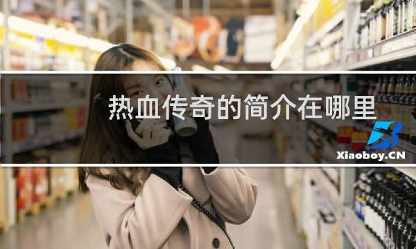 热血传奇的简介在哪里