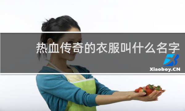 热血传奇的衣服叫什么名字