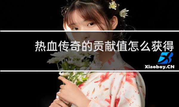 热血传奇的贡献值怎么获得