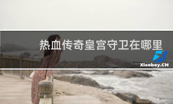 热血传奇皇宫守卫在哪里