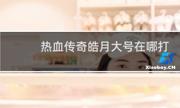 热血传奇皓月大号在哪打