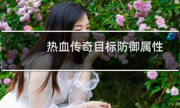 热血传奇目标防御属性