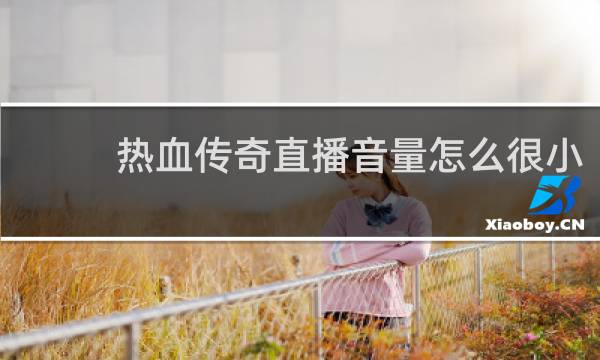 热血传奇直播音量怎么很小