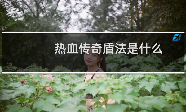 热血传奇盾法是什么