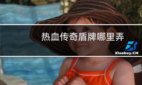 热血传奇盾牌哪里弄