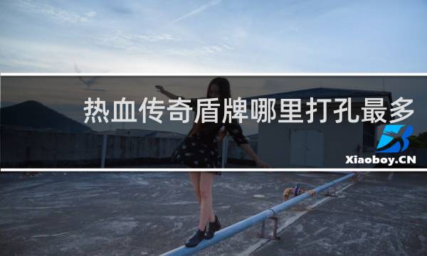 热血传奇盾牌哪里打孔最多
