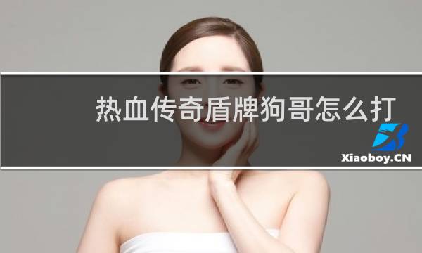 热血传奇盾牌狗哥怎么打