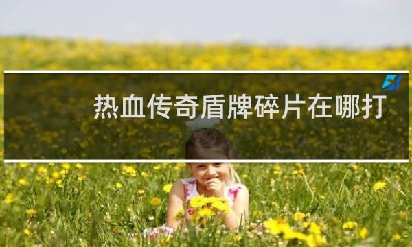 热血传奇盾牌碎片在哪打