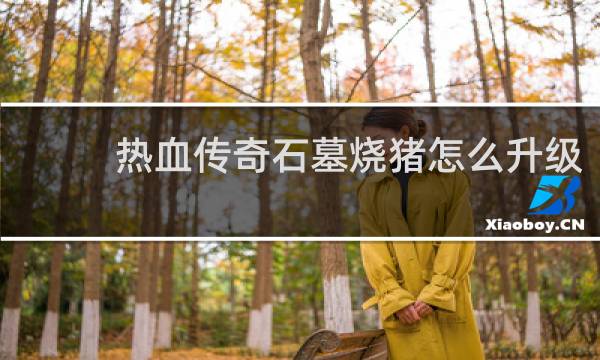 热血传奇石墓烧猪怎么升级