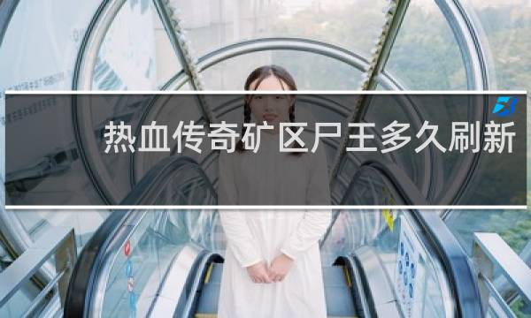 热血传奇矿区尸王多久刷新