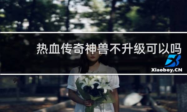 热血传奇神兽不升级可以吗