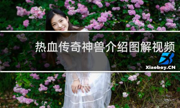 热血传奇神兽介绍图解视频