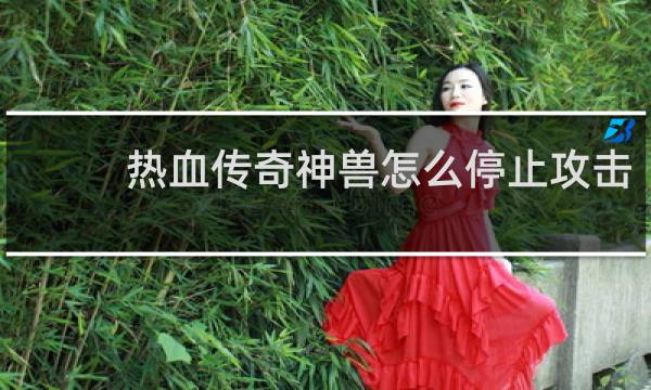 热血传奇神兽怎么停止攻击