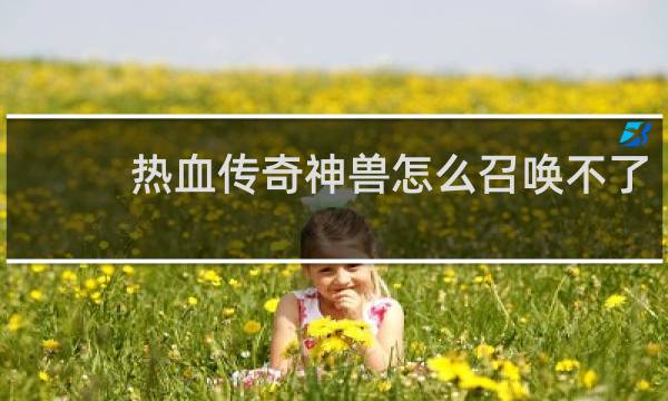热血传奇神兽怎么召唤不了