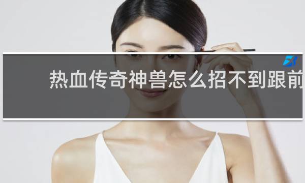 热血传奇神兽怎么招不到跟前
