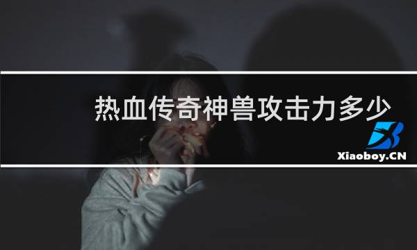 热血传奇神兽攻击力多少