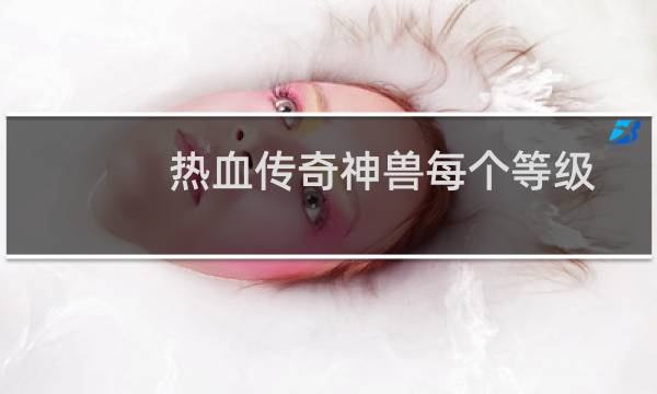 热血传奇神兽每个等级