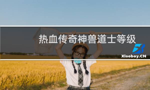 热血传奇神兽道士等级