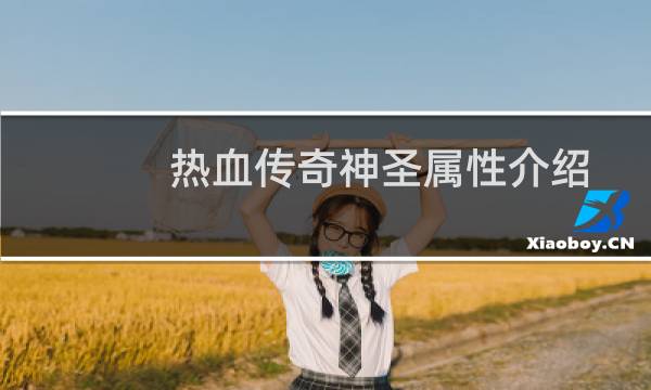 热血传奇神圣属性介绍