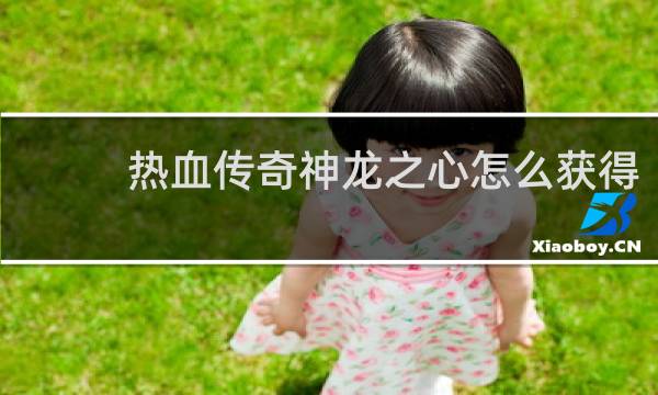 热血传奇神龙之心怎么获得