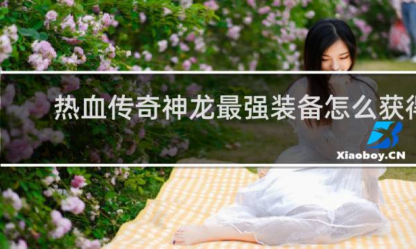 热血传奇神龙最强装备怎么获得