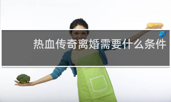热血传奇离婚需要什么条件
